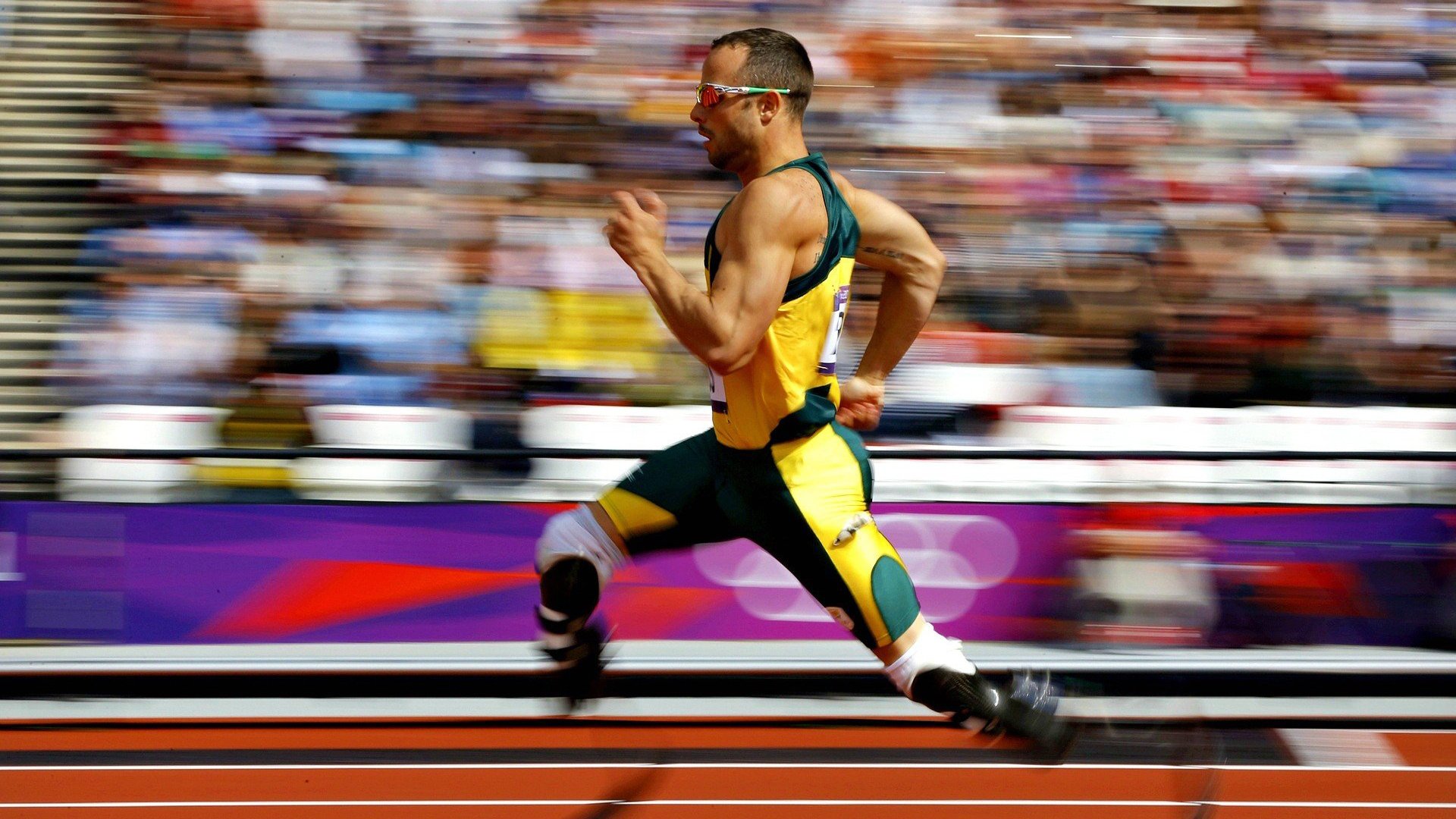 德约科维奇连续五场比赛得分超过重要助攻，C9不断突破！观众掌声雷动